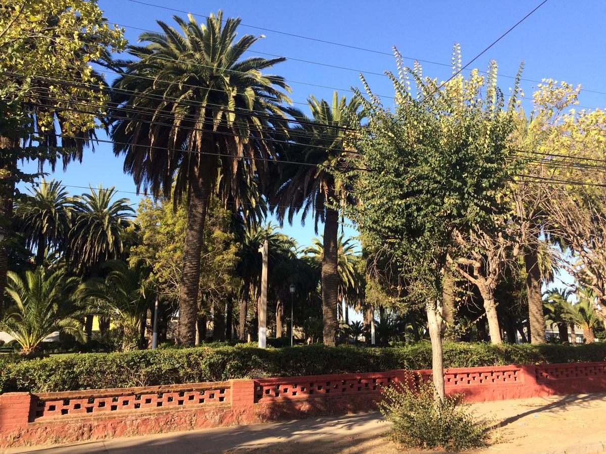 Dpto Apartamento Vina del Mar