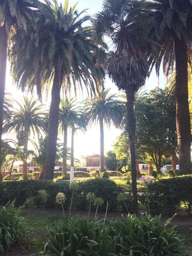 Dpto Apartamento
