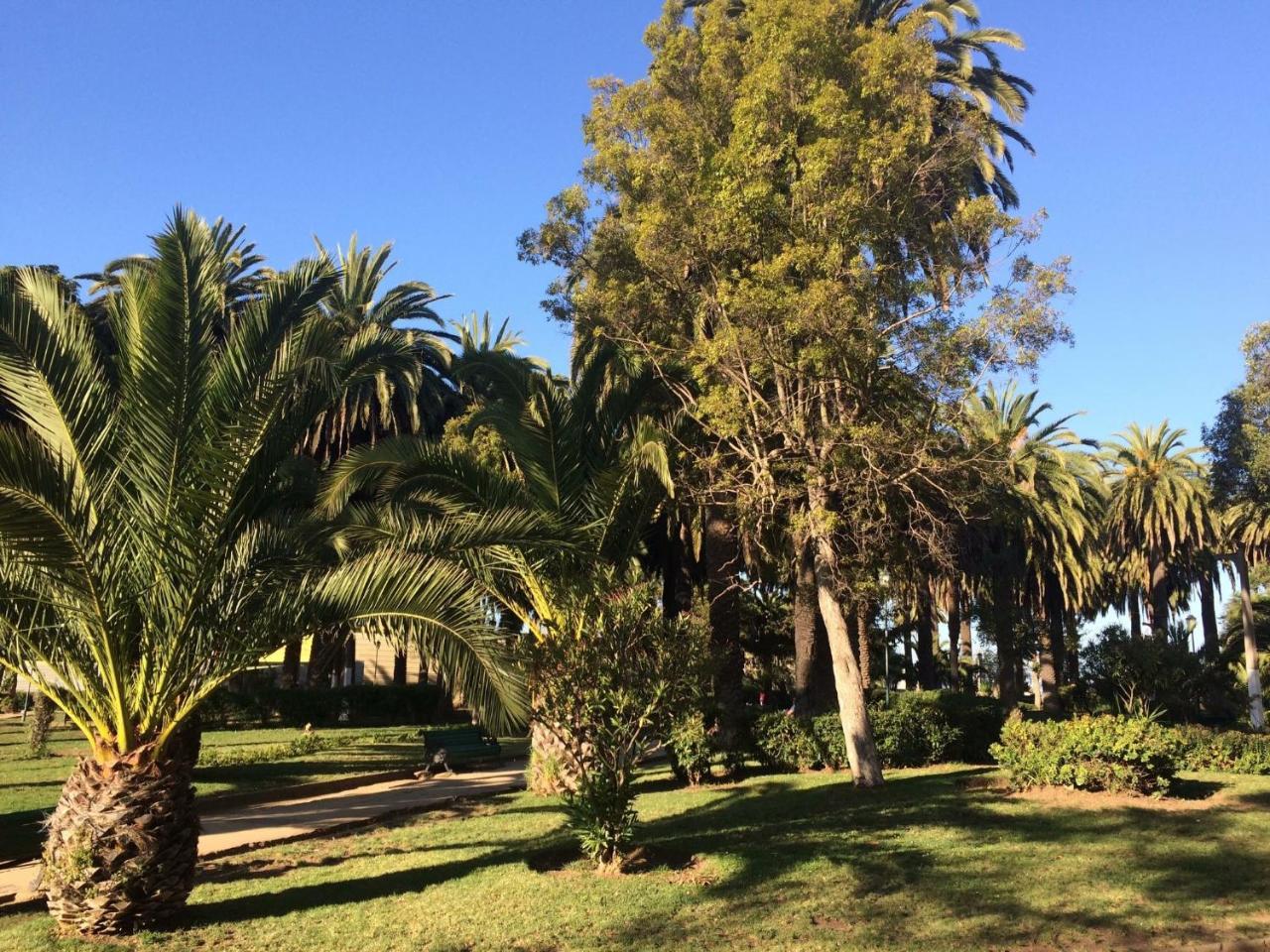 Apartment Dpto